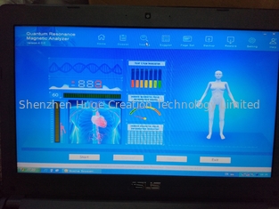 Китай Румынская версия программы 44 языка сообщает коробку цвета серебра анализатора тела Кванта поставщик