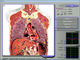 анализатор здоровья 3d Nls, блок развертки тела для центра рассмотрения здоровья поставщик