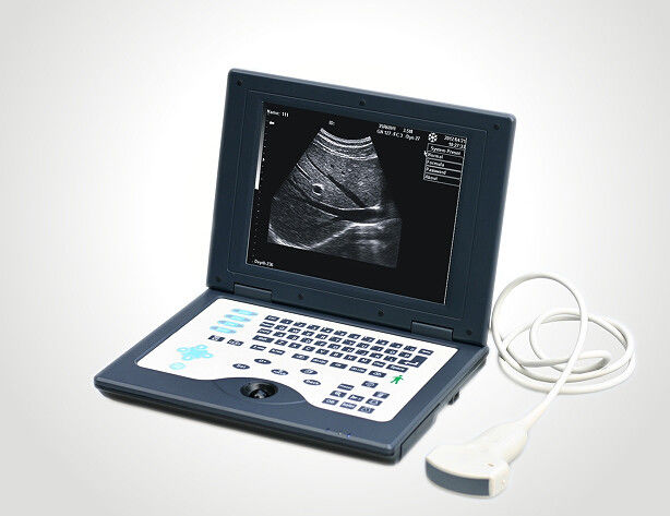 Блока развертки ультразвука ноутбука КЛС5800 система цифров ветеринарного вполне ультразвуковая диагностическая